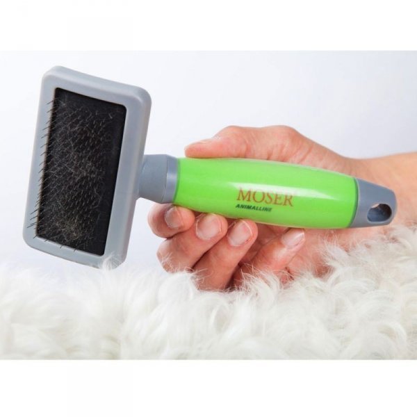 pinsel-moser-2999-7065-medium 2