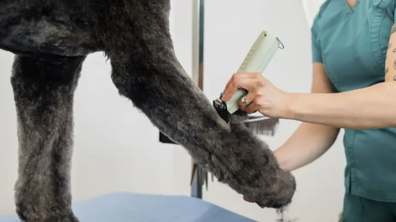 WAHL KMC+ Cordless - Bild 5
